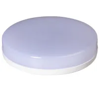 00000011341