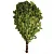 Веник березовый без упаковки