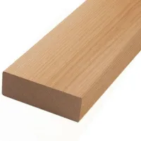 00000023062